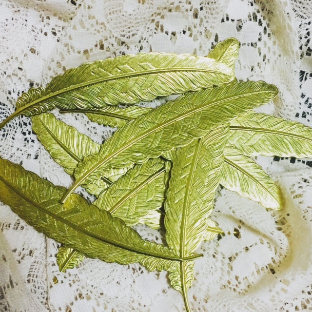 �V�g�̉H�݂���